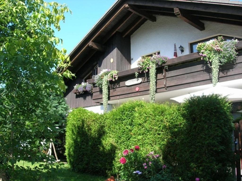 Harzhaus Rauch Apartment Braunlage Cameră foto
